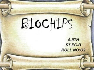 BIOCHIPS
        AJITH
       S7 EC-B
      ROLL NO:O2
 