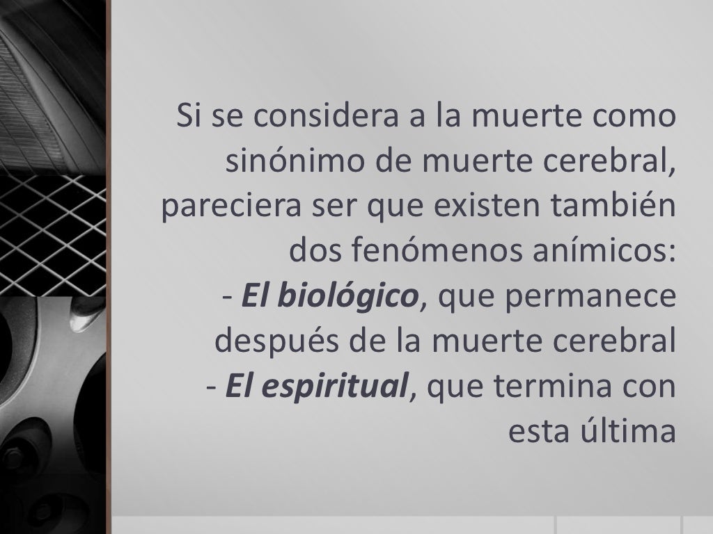 Muerte cerebral