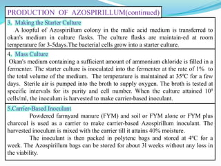 3. Making the Starter Culture
A loopful of Azospirillum colony in the malic acid medium is transferred to
okan's medium in culture flasks. The culture flasks are maintain-ed at room
temperature for 3-5days.The bacterial cells grow into a starter culture.
4. Mass Culture
Okan's medium containing a sufficient amount of ammonium chloride is filled in a
fermenter. The starter culture is inoculated into the fermenter at the rate of 1% to
the total volume of the medium. The temperature is maintained at 35ºC for a few
days. Sterile air is pumped into the broth to supply oxygen. The broth is tested at
specific intervals for its purity and cell number. When the culture attained 109
cells/ml, the inoculum is harvested to make carrier-based inoculant.
5.Carrier-Based Inoculant
Powdered farmyard manure (FYM) and soil or FYM alone or FYM plus
charcoal is used as a carrier to make carrier-based Azospirillum inoculant. The
harvested inoculum is mixed with the carrier till it attains 40% moisture.
The inoculant is then packed in polytene bags and stored at 4ºC for a
week. The Azospirillum bags can be stored for about 3l weeks without any loss in
the viability.
PRODUCTION OF AZOSPIRILLUM(continued)
 