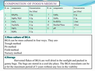 3.Mass culture of BGA
BGA can be mass cultured in four ways. They are-
Trough method
Pit method
Field method
Nursery method
4.Storage
Harvested flakes of BGA are well dried in the sunlight and packed in
gunny bags. The bags are stored in a cool dry place. The BGA inoculants can be
p for the maximum period of 3 years without any loss in the viability
 