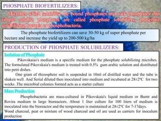 PHOSPHATE BIOFERTILIZERS:
Microbes which solubilise the bound phosphates and rock phosphates into
simple soluble phosphates are called phosphate solubiliers, phosphate
solubilizing bacteria or phosphobacteria.
The phosphate biofertilizers can save 30-50 kg of super phosphate per
hectare and increase the yield up to 200-500 kg/ha
PRODUCTION OF PHOSPHATE SOLUBILIZERS:
Isolation of Phosphate
Pikovskaias's medium is a specific medium for the phosphate solubilizing microbes.
The formulated Pikovskaia's medium is treated with 0.5% gum arabic solution and distributed
into petri dishes.
One gram of rhizosphere soil is suspended in 10ml of distilled water and the tube is
shaken well. And Serial diluted then inoculated into medium and incubated at 28±2ºC for two
weeks .The microbial colonies formed acts as a starter culture
Mass Production
Phosphobacteria are mass-cultured in Pikovskaia's liquid medium or Burnt and
Rovira medium in large bioreactors. About 1 liter culture for 100 liters of medium is
inoculated into the bioreactor and the temperature is maintained at 28±2ºC for 7-17days.
Wood charcoal, peat or mixture of wood charcoal and oil are used as carriers for inoculum
production
 