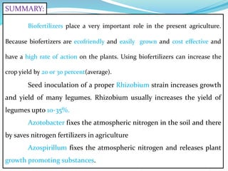 Biofertilizers place a very important role in the present agriculture.
Because biofertizers are ecofriendly and easily grown and cost effective and
have a high rate of action on the plants. Using biofertilizers can increase the
crop yield by 20 or 30 percent(average).
Seed inoculation of a proper Rhizobium strain increases growth
and yield of many legumes. Rhizobium usually increases the yield of
legumes upto 10-35%.
Azotobacter fixes the atmospheric nitrogen in the soil and there
by saves nitrogen fertilizers in agriculture
Azospirillum fixes the atmospheric nitrogen and releases plant
growth promoting substances.
SUMMARY:
 