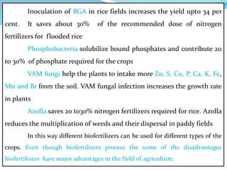 Inoculation of BGA in rice fields increases the yield upto 34 per
cent. It saves about 30% of the recommended dose of nitrogen
fertilizers for flooded rice
Phosphobacteria solubilize bound phosphates and contribute 20
to 30% of phosphate required for the crops
VAM fungi help the plants to intake more Zn, S, Cu, P, Ca, K, Fe,
Mn and Br from the soil. VAM fungal infection increases the growth rate
in plants
Azolla saves 20 to30% nitrogen fertilizers required for rice. Azolla
reduces the multiplication of weeds and their dispersal in paddy fields
In this way different biofertilizers can be used for different types of the
crops. Even though biofertilizers process the some of the disadvantages
biofertilizers have major advantages in the field of agriculture.
 