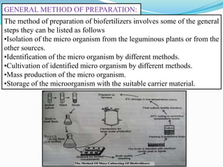 GENERAL METHOD OF PREPARATION:
The method of preparation of biofertilizers involves some of the general
steps they can be listed as follows
•Isolation of the micro organism from the leguminous plants or from the
other sources.
•Identification of the micro organism by different methods.
•Cultivation of identified micro organism by different methods.
•Mass production of the micro organism.
•Storage of the microorganism with the suitable carrier material.
 