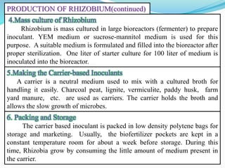 4.Mass culture of Rhizobium
Rhizobium is mass cultured in large bioreactors (fermenter) to prepare
inoculant. YEM medium or sucrose-mannitol medium is used for this
purpose. A suitable medium is formulated and filled into the bioreactor after
proper sterilization. One liter of starter culture for 100 liter of medium is
inoculated into the bioreactor.
5.Making the Carrier-based Inoculants
A carrier is a neutral medium used to mix with a cultured broth for
handling it easily. Charcoal peat, lignite, vermiculite, paddy husk, farm
yard manure, etc. are used as carriers. The carrier holds the broth and
allows the slow growth of microbes.
6. Packing and Storage
The carrier based inoculant is packed in low density polytene bags for
storage and marketing. Usually, the biofertilizer pockets are kept in a
constant temperature room for about a week before storage. During this
time, Rhizobia grow by consuming the little amount of medium present in
the carrier.
PRODUCTION OF RHIZOBIUM(continued)
 
