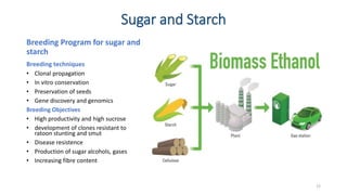 Breeding Program for sugar and
starch
Breeding techniques
• Clonal propagation
• In vitro conservation
• Preservation of s...