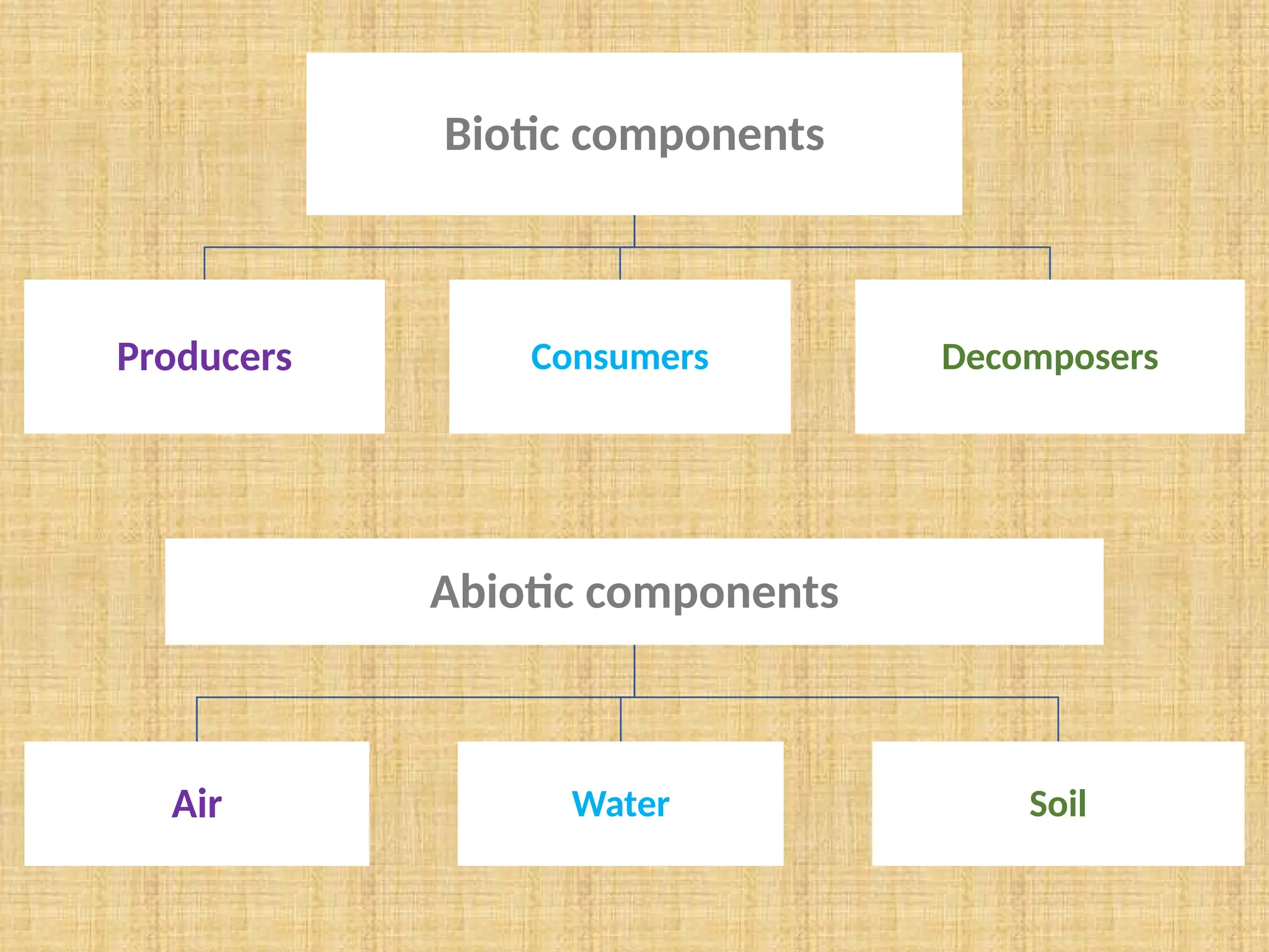 Final_Bio_PPT.pptx for class 12 ecosystem | PPTX