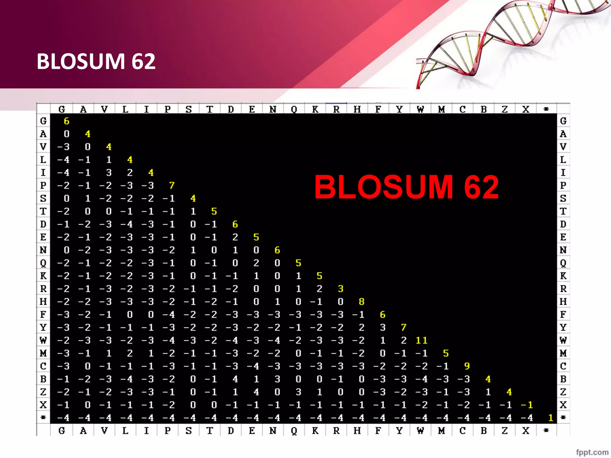 BLOSUM 62
 