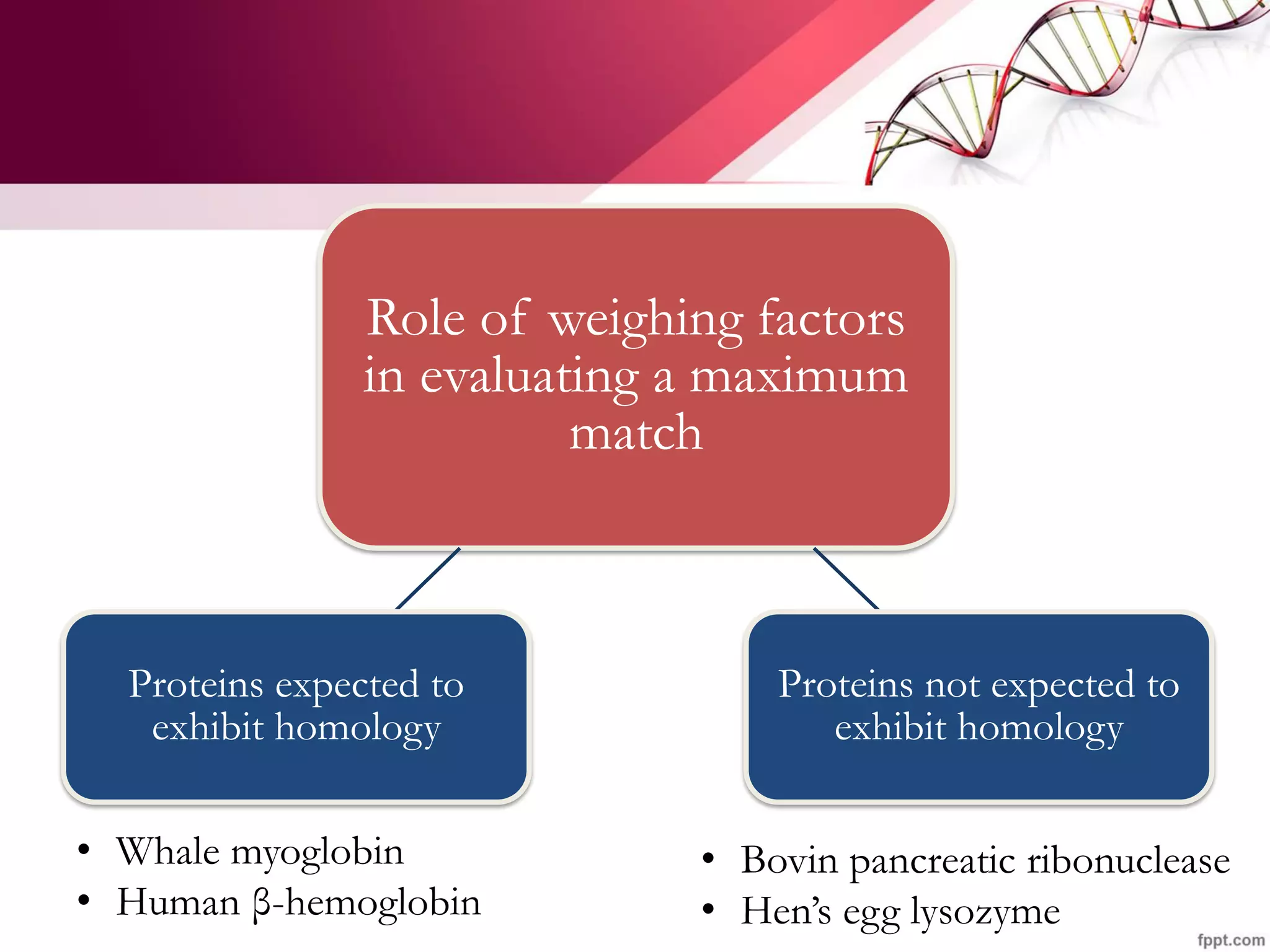 Role of weighing factors
in evaluating a maximum
match
Proteins not expected to
exhibit homology
Proteins expected to
exhibit homology
• Whale myoglobin
• Human β-hemoglobin
• Bovin pancreatic ribonuclease
• Hen’s egg lysozyme
 