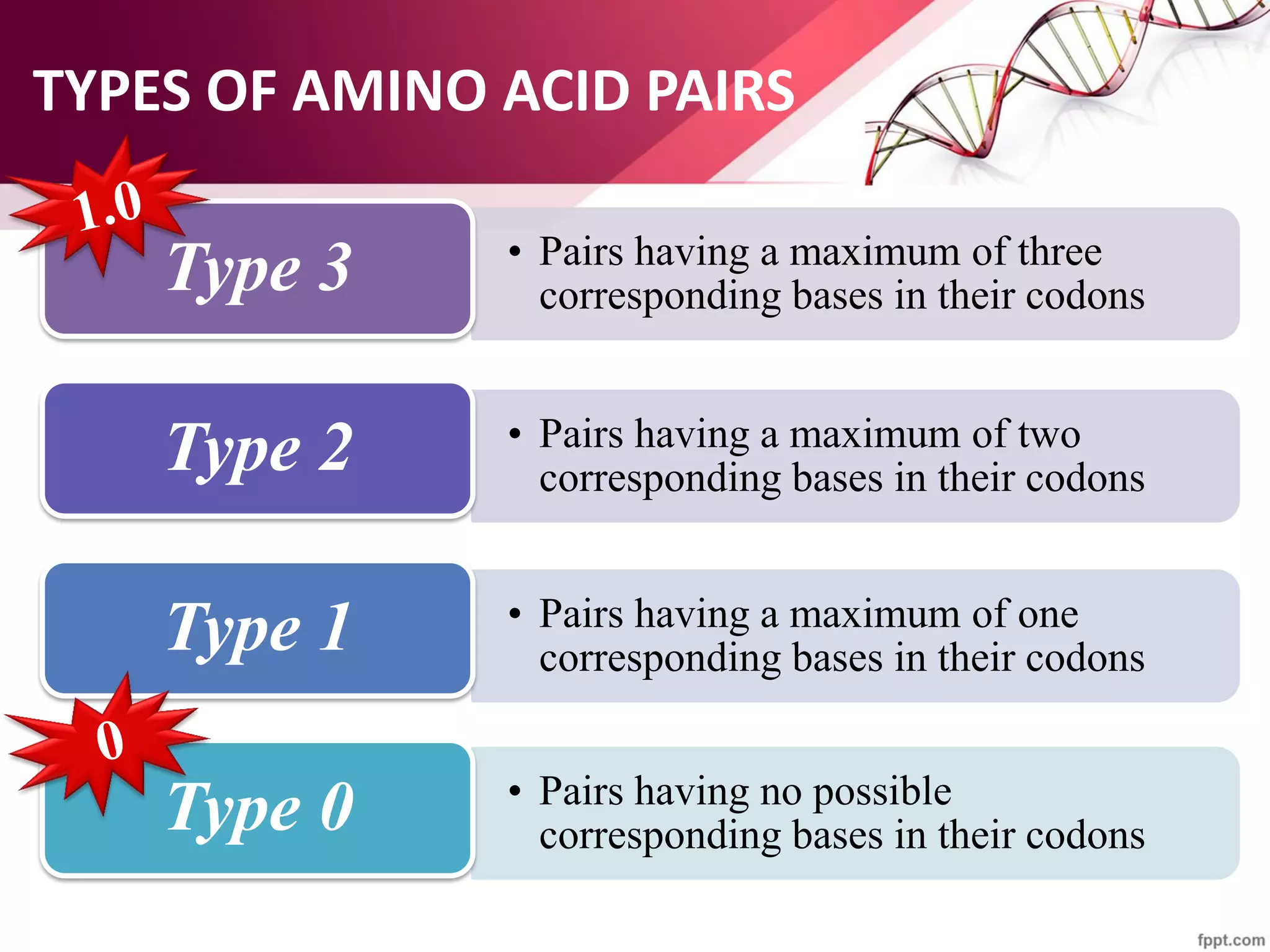 TYPES OF AMINO ACID PAIRS
• Pairs having a maximum of three
corresponding bases in their codonsType 3
• Pairs having a maximum of two
corresponding bases in their codonsType 2
• Pairs having a maximum of one
corresponding bases in their codonsType 1
• Pairs having no possible
corresponding bases in their codonsType 0
 