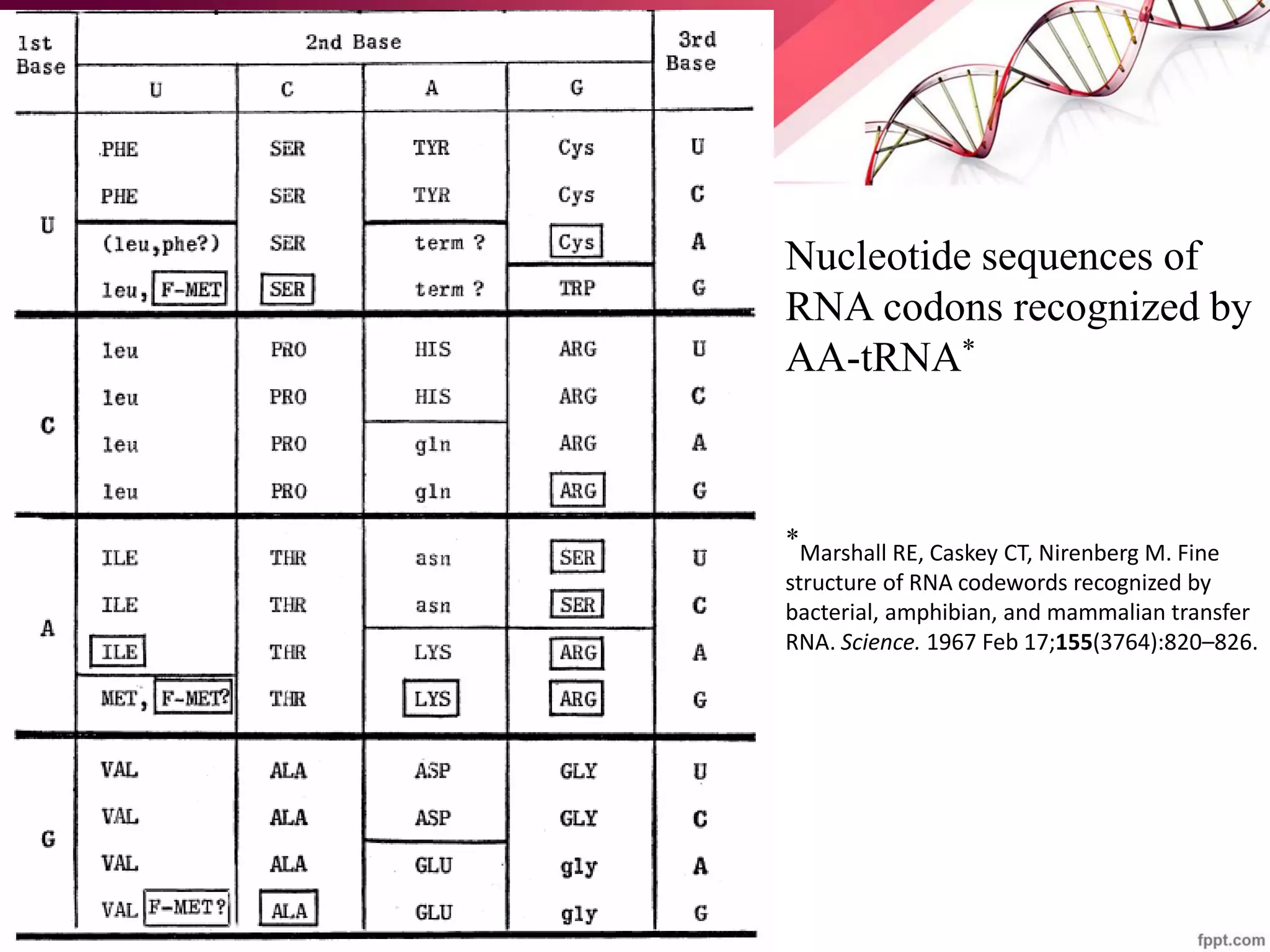 Nucleotide sequences of
RNA codons recognized by
AA-tRNA*
*Marshall RE, Caskey CT, Nirenberg M. Fine
structure of RNA codewords recognized by
bacterial, amphibian, and mammalian transfer
RNA. Science. 1967 Feb 17;155(3764):820–826.
 