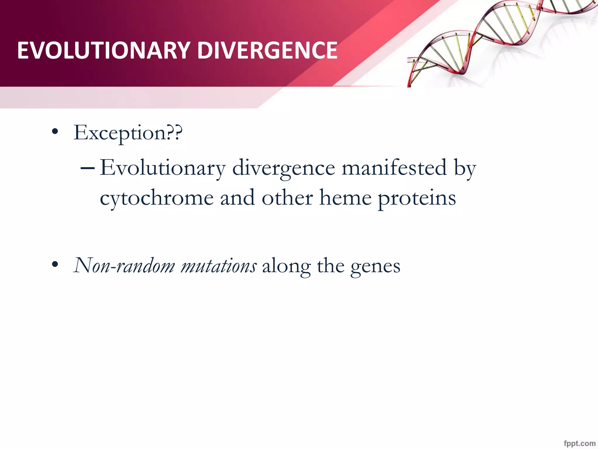 EVOLUTIONARY DIVERGENCE
• Exception??
– Evolutionary divergence manifested by
cytochrome and other heme proteins
• Non-random mutations along the genes
 