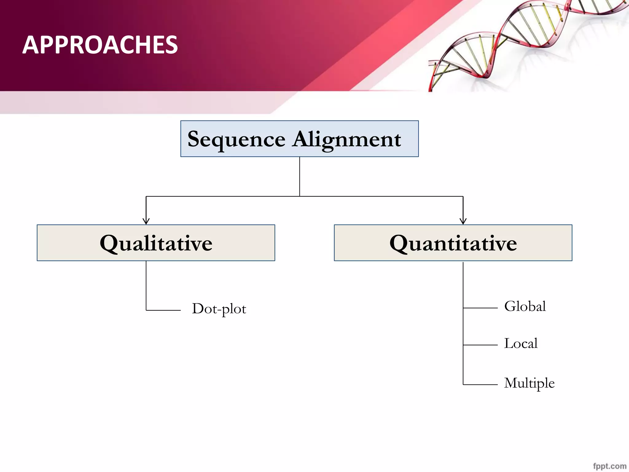 APPROACHES
Sequence Alignment
Qualitative Quantitative
Dot-plot Global
Local
Multiple
 