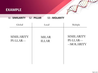 EXAMPLE
S1 : SIMILARITY S2 : PILLAR S3 : MOLARITY
Global Local Multiple
SIMILARITY
PI-LLAR---
MILAR
ILLAR
SIMILARITY
PI-LLAR---
--MOLARITY
 