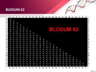 BLOSUM 62
 