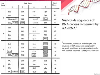 Nucleotide sequences of
RNA codons recognized by
AA-tRNA*
*Marshall RE, Caskey CT, Nirenberg M. Fine
structure of RNA codewords recognized by
bacterial, amphibian, and mammalian transfer
RNA. Science. 1967 Feb 17;155(3764):820–826.
 