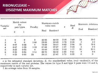 RIBONUCLEASE –
LYSOZYME MAXIMUM MATCHES
 