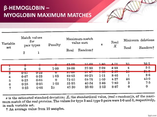 β-HEMOGLOBIN –
MYOGLOBIN MAXIMUM MATCHES
 