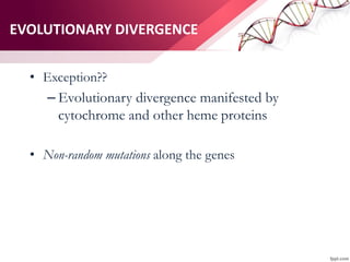 EVOLUTIONARY DIVERGENCE
• Exception??
– Evolutionary divergence manifested by
cytochrome and other heme proteins
• Non-random mutations along the genes
 