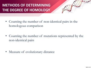 METHODS OF DETERMINING
THE DEGREE OF HOMOLOGY
• Counting the number of non-identical pairs in the
homologous comparison
• Counting the number of mutations represented by the
non-identical pairs
• Measure of evolutionary distance
 