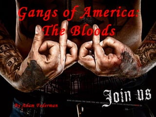 Gangs of America: The Bloods By Adam Federman 