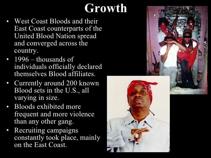 Final Bloods Presentation
