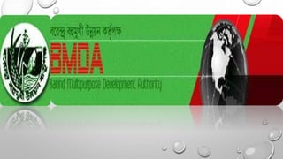 BMDA | PPTX