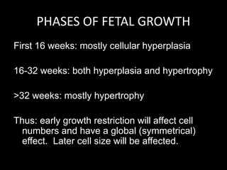 PHASES OF FETAL GROWTH
First 16 weeks: mostly cellular hyperplasia
16-32 weeks: both hyperplasia and hypertrophy
>32 weeks: mostly hypertrophy
Thus: early growth restriction will affect cell
numbers and have a global (symmetrical)
effect. Later cell size will be affected.
 
