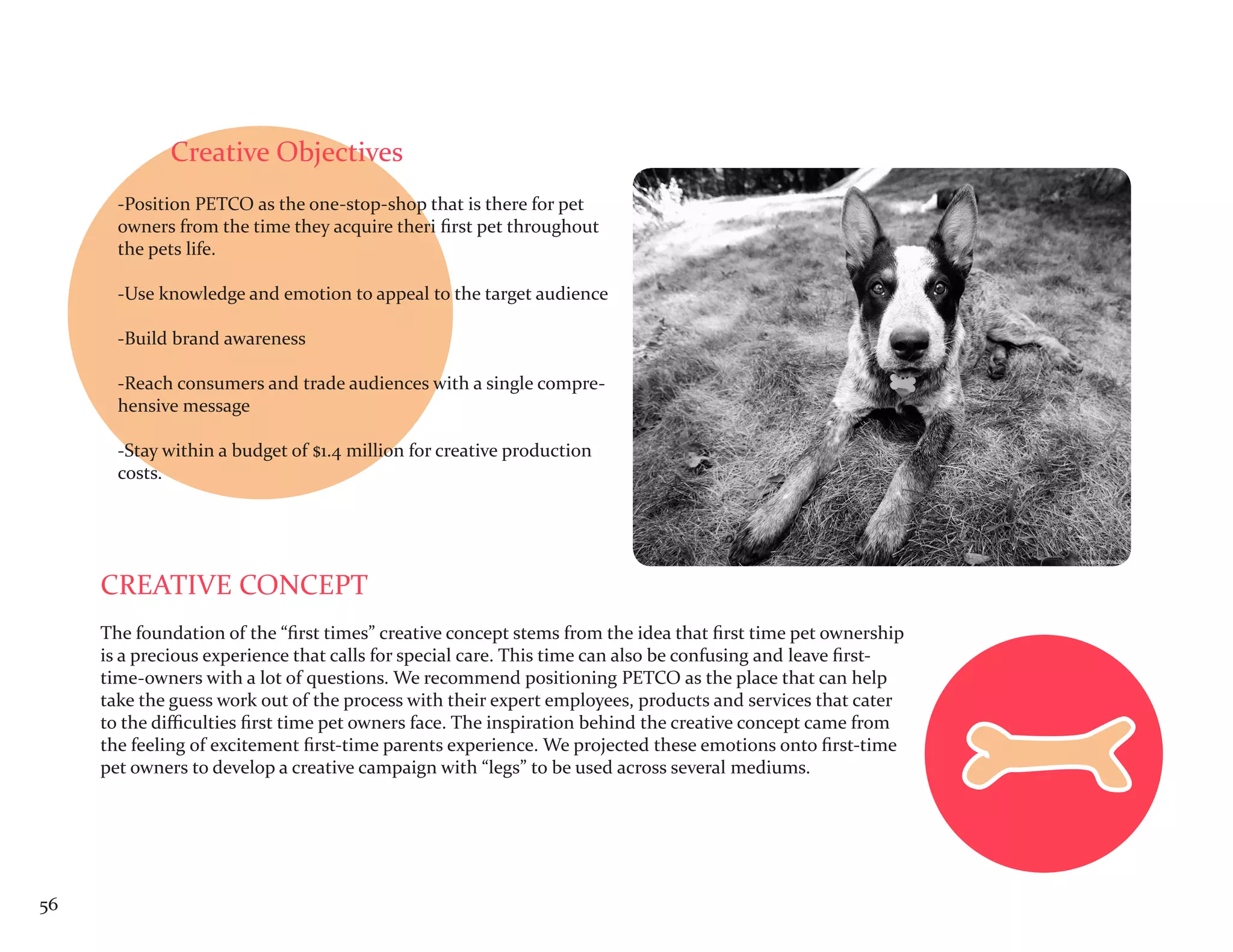 Creative Objectives
       -Position PETCO as the one-stop-shop that is there for pet
       owners from the time they acquire theri first pet throughout
       the pets life.

       -Use knowledge and emotion to appeal to the target audience

       -Build brand awareness

       -Reach consumers and trade audiences with a single compre-
       hensive message

       -Stay within a budget of $1.4 million for creative production
       costs.




     CREATIVE CONCEPT
     The foundation of the “first times” creative concept stems from the idea that first time pet ownership
     is a precious experience that calls for special care. This time can also be confusing and leave first-
     time-owners with a lot of questions. We recommend positioning PETCO as the place that can help
     take the guess work out of the process with their expert employees, products and services that cater
     to the difficulties first time pet owners face. The inspiration behind the creative concept came from
     the feeling of excitement first-time parents experience. We projected these emotions onto first-time
     pet owners to develop a creative campaign with “legs” to be used across several mediums.




56
 