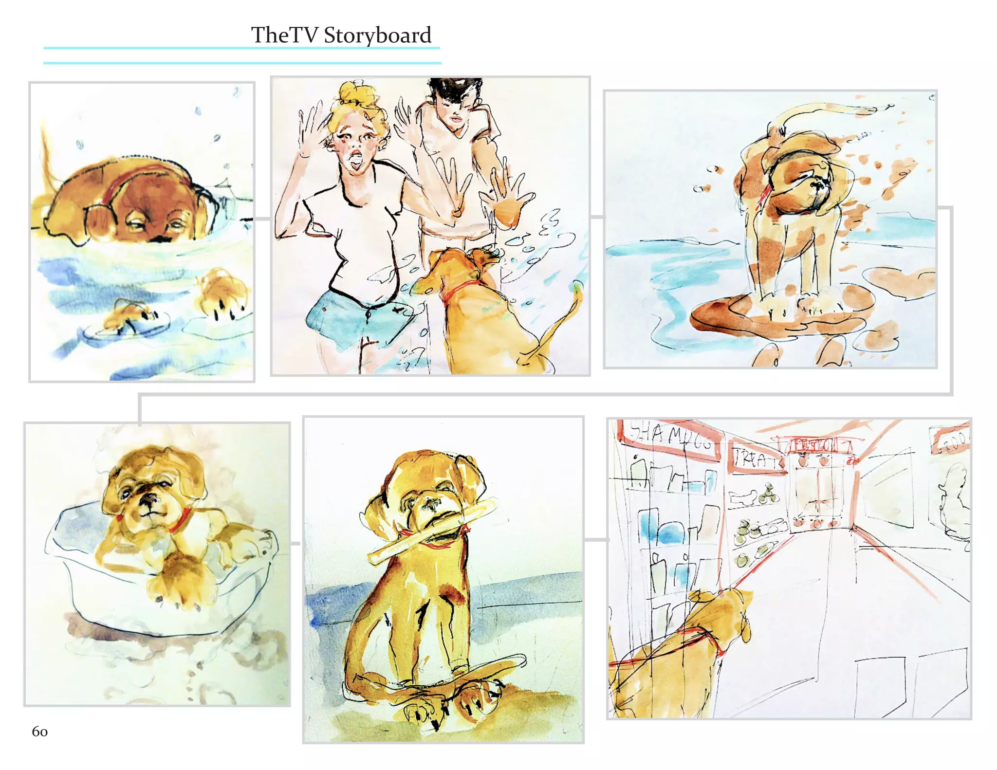 TheTV Storyboard




60
 