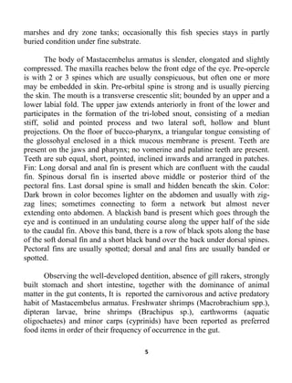 5
marshes and dry zone tanks; occasionally this fish species stays in partly
buried condition under fine substrate.
The body of Mastacembelus armatus is slender, elongated and slightly
compressed. The maxilla reaches below the front edge of the eye. Pre-opercle
is with 2 or 3 spines which are usually conspicuous, but often one or more
may be embedded in skin. Pre-orbital spine is strong and is usually piercing
the skin. The mouth is a transverse crescentic slit; bounded by an upper and a
lower labial fold. The upper jaw extends anteriorly in front of the lower and
participates in the formation of the tri-lobed snout, consisting of a median
stiff, solid and pointed process and two lateral soft, hollow and blunt
projections. On the floor of bucco-pharynx, a triangular tongue consisting of
the glossohyal enclosed in a thick mucous membrane is present. Teeth are
present on the jaws and pharynx; no vomerine and palatine teeth are present.
Teeth are sub equal, short, pointed, inclined inwards and arranged in patches.
Fin: Long dorsal and anal fin is present which are confluent with the caudal
fin. Spinous dorsal fin is inserted above middle or posterior third of the
pectoral fins. Last dorsal spine is small and hidden beneath the skin. Color:
Dark brown in color becomes lighter on the abdomen and usually with zig-
zag lines; sometimes connecting to form a network but almost never
extending onto abdomen. A blackish band is present which goes through the
eye and is continued in an undulating course along the upper half of the side
to the caudal fin. Above this band, there is a row of black spots along the base
of the soft dorsal fin and a short black band over the back under dorsal spines.
Pectoral fins are usually spotted; dorsal and anal fins are usually banded or
spotted.
Observing the well-developed dentition, absence of gill rakers, strongly
built stomach and short intestine, together with the dominance of animal
matter in the gut contents, It is reported the carnivorous and active predatory
habit of Mastacembelus armatus. Freshwater shrimps (Macrobrachium spp.),
dipteran larvae, brine shrimps (Brachipus sp.), earthworms (aquatic
oligochaetes) and minor carps (cyprinids) have been reported as preferred
food items in order of their frequency of occurrence in the gut.
 