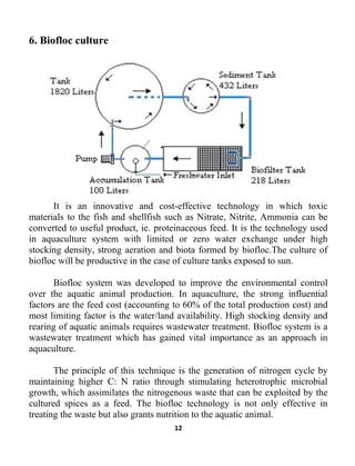 12
6. Biofloc culture
It is an innovative and cost-effective technology in which toxic
materials to the fish and shellfish such as Nitrate, Nitrite, Ammonia can be
converted to useful product, ie. proteinaceous feed. It is the technology used
in aquaculture system with limited or zero water exchange under high
stocking density, strong aeration and biota formed by biofloc.The culture of
biofloc will be productive in the case of culture tanks exposed to sun.
Biofloc system was developed to improve the environmental control
over the aquatic animal production. In aquaculture, the strong influential
factors are the feed cost (accounting to 60% of the total production cost) and
most limiting factor is the water/land availability. High stocking density and
rearing of aquatic animals requires wastewater treatment. Biofloc system is a
wastewater treatment which has gained vital importance as an approach in
aquaculture.
The principle of this technique is the generation of nitrogen cycle by
maintaining higher C: N ratio through stimulating heterotrophic microbial
growth, which assimilates the nitrogenous waste that can be exploited by the
cultured spices as a feed. The biofloc technology is not only effective in
treating the waste but also grants nutrition to the aquatic animal.
 