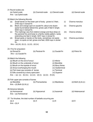 59
21.Round scales are
(a) Cyloid scale (b) Cosmoid scale (c) Ctenoid scale (d) Ganoid scale
Ans – (a) Cyloid scale
22.Match the following Murrels
(a) Small bands on the lower part of body; grows to 3 feet ;
3745 rays in dorsal fin
(i) Channa marulius
(b) Black and orange spot on caudal fin; about one dozen
spots found below lateral line; grows upto 4 feet in lengh;
5054 rays in dorsal fin.
(ii) Channa gaucha
(c) The markings vary from distinct orange and blue strips on
the pectoral fins and body to a faintly visible pattern; rarely
extending one feet in lengh; 3237 rays in dorsal fin.
(iii) Channa striatus
(d) Broad spots or bands on the body, sometimes not easily
seen; no spots on tail; grows one feet; 2930 rays in dorsal
fin.
(iv) Channa punctatus
Ans – (a) (iii), (b) (i), (c) (ii), (d) (iv)
23. Fins for propulsion
(a) Dorsal fin (b) Pectoral fin (c) Caudal fin (d) Pelvic fin
Ans – (c) Caudal fin
24.Match the following
(a) Mouth on the end of snout (i) Inferior
(b) Mouth on the underside of snout (ii) Mandible
(c) Mouth on the topside of snout (iii) Bony fishes
(d) Snout overhanging the mouth (iv) Subterminal
(e) Fish lower jaw consists of bones (v) Terminal
(f) Gills covered by a bony operculam (vi) Superior
Ans – (a) (v); (b) (iv); (c) (vi); (d) (i); (e) (ii); (f) (iii).
25.Fish upper jaw consists of bones
(a) Mandible (b) Premaxilaries (c) Maxillaries (d) Both (b) & (c)
Ans – (d) Both (b) & (c)
26.Advance teleosts
(a) Homocercal (b) Hypocercal (c) Isocercal (d) Heterocercal
Ans – (a) Homocercal
27. Tor khudree, the total number of barbells occurring are
(a) 2 (b) 4 (c) 6 (d) 8
Ans – (b) 4
 