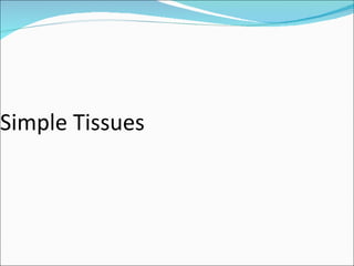 Simple Tissues 