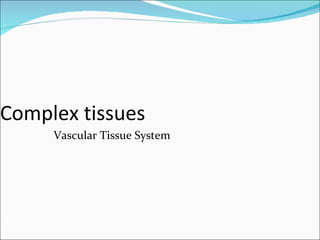 Complex tissues Vascular Tissue System 