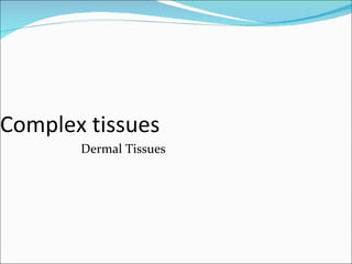Complex tissues Dermal Tissues 