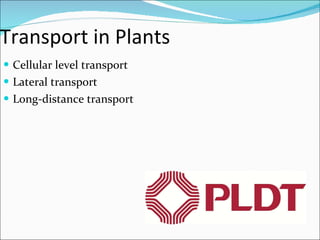 Transport in Plants Cellular level transport Lateral transport Long-distance transport 