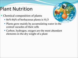 Plant Nutrition Chemical composition of plants 80%-85% of herbaceous plants is H 2 O Plants grow mainly by accumulating water in the central vacuoles of their cells Carbon, hydrogen, oxygen are the most abundant elements in the dry weight of a plant 