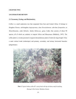 CHAPTER TWO
2.0 LITERATURE REVIEW
2.1 Taxonomy, Ecology and Biochemistry
Coffee is a small understory tree that originated from East and Central Africa. It belongs to
Kingdom Plantae, sub-kingdom Angiospermae, class Dicotyledoneae, sub-class Sympetalae, or
Metachlamydae, order Rubiales, family Rubiaceae, genus Coffea that consists of about 90
species, all of which are endemic to tropical Africa and Mascerenes (Mabberly, 1997). The
coffee plant is a woody perennial evergreen dicotyledonous plant of relatively large height. It has
a main vertical trunk (orthotropic) and primary, secondary, and tertiary horizontal branches
(plagiotropic).
Plate 1: Typical Arabica coffee (K7 variety) bush with ripe red cherry ready for picking,
(Kasinga Coffee Society, Machakos, Kenya).
10
 