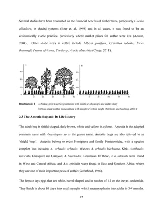Several studies have been conducted on the financial benefits of timber trees, particularly Cordia
alliadora, in shaded systems (Beer et. al, 1998) and in all cases, it was found to be an
economically viable practice, particularly where market prices for coffee were low (Annon,
2004). Other shade trees in coffee include Albizia gumifera, Grevilllea robusta, Ficus
thaunngii, Prunus africana, Cordia sp, Acacia abyssinia (Chege, 2011).
Illustration: 1 a) Shade-grown coffee plantation with multi-level canopy and under-story
b) Non-shade coffee monoculture with single level tree height (Perfecto and Snelling, 2001)
2.3 The Antestia Bug and Its Life History
The adult bug is shield shaped, dark-brown, white and yellow in colour. Antestia is the adapted
common name with Antestiopsis sp as the genus name. Antestia bugs are also referred to as
‘shield bugs’. Antestia belong to order Hemiptera and family Pentatomidae, with a species
complex that includes; A. orbitalis orbitalis, Westw; A. orbitalis bechuana, Kirk; A.orbitalis
intricata, Ghesquire and Carayon; A. Facetoides, Greathead. Of these, A. o. intricata were found
in West and Central Africa, and A.o. orbitalis were found in East and Southern Africa where
they are one of most important pests of coffee (Greathead, 1966).
The female lays eggs that are white, barrel-shaped and in batches of 12 on the leaves’ underside.
They hatch in about 10 days into small nymphs which metamorphosis into adults in 3-4 months.
14
 