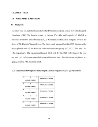 CHAPTER THREE
3.0 MATERIALS & METHODS
3.1 Study Site
The study was conducted at Namwela Coffee Demonstration Farm owned by Coffee Research
Foundation (CRF). The farm is located at Latitude 00
45.43N and longitude 340
33.426E at
elevation 1641metres above the sea level, 25 Kilometres North-East of Bungoma town on the
slopes of Mt. Elgon in Western Kenya. The farm which was established in 1955 has two coffee
blocks planted with K7 and Ruiru 11 coffee varieties with spacing of 2.75 X 2.75m and 1.5 x
1.5m respectively.. The experimental (study) block with K7 has 1825 coffee trees in the open
sun, and 1265 coffee trees under shade trees (Cordia africana). The shade trees are planted at a
spacing of about 30 X 60 metres apart.
3.2 Experimental Design and Sampling of Antestia bug (Antestiopsis sp) Populations
18
X X X
SHADED COFFEE
UNSHADED COFFEE
X X X
SHADED COFFEE
UNSHADED COFFEE
X X X
SHADED COFFEE
UNSHADED COFFEE
X X X
SHADED COFFEE
UNSHADED COFFEE
X X X
SHADED COFFEE
UNSHADED COFFEE
 