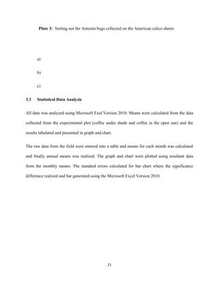 Plate 3: Sorting out the Antestia bugs collected on the American calico sheets
a)
b)
c)
3.3 Statistical Data Analysis
All data was analyzed using Microsoft Exel.Version 2010. Means were calculated from the data
collected from the experimental plot (coffee under shade and coffee in the open sun) and the
results tabulated and presented in graph and chart.
The raw data from the field were entered into a table and means for each month was calculated
and finally annual means was realized. The graph and chart were plotted using resultant data
from the monthly means. The standard errors calculated for bar chart where the significance
difference realized and bar generated using the Microsoft Excel Version 2010.
21
 