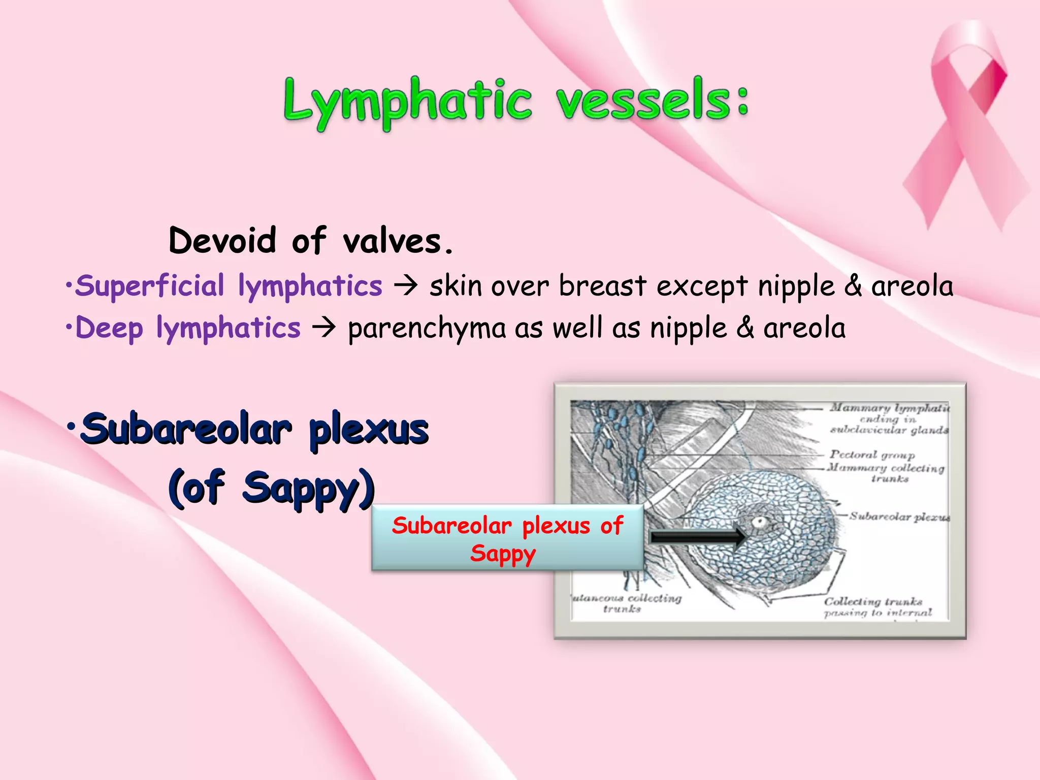 Final breast awareness presentation | PPT