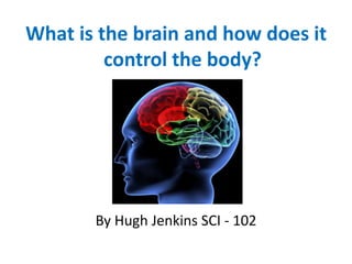 What is the brain and how does it
control the body?
By Hugh Jenkins SCI - 102
 