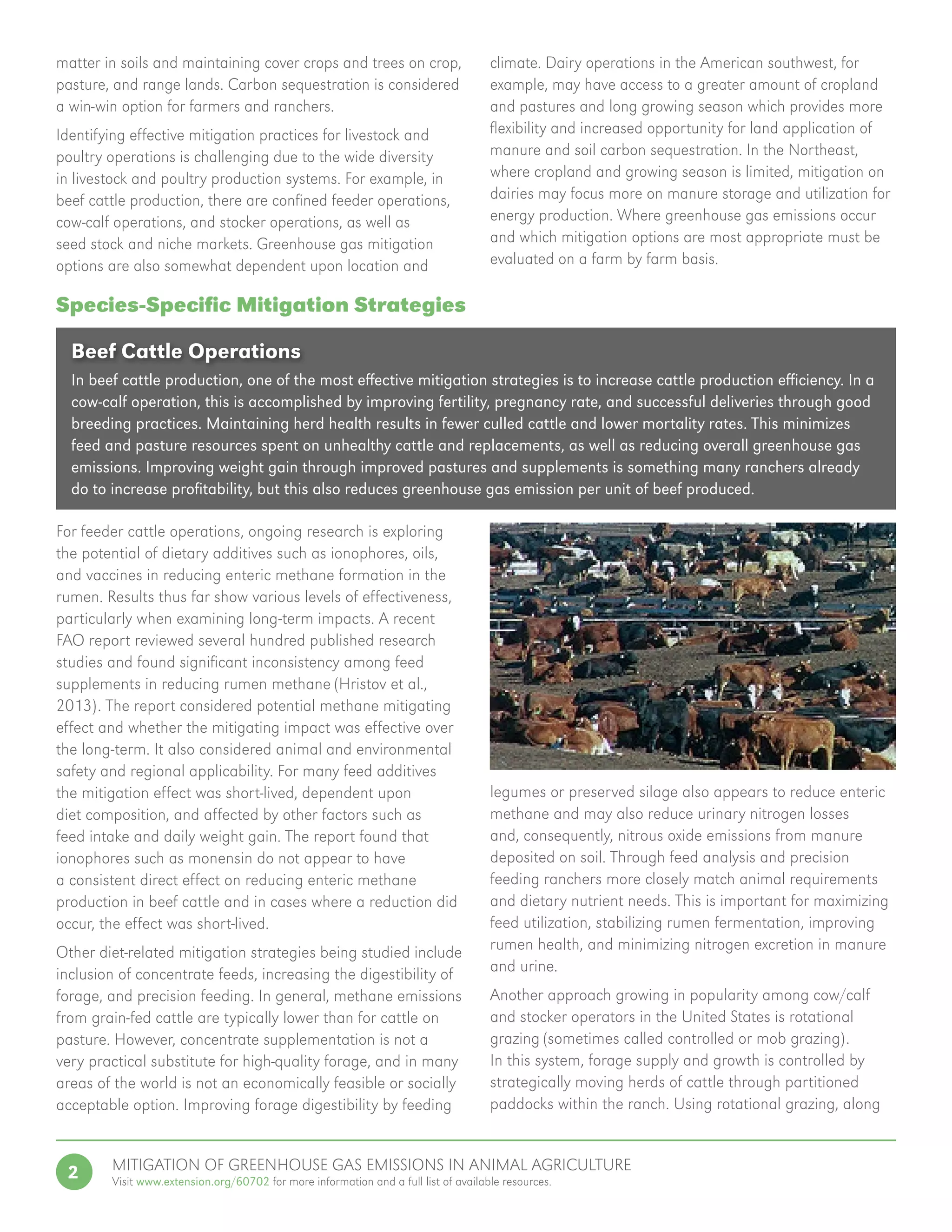 Mitigation of greenhouse gas emissions in animal agriculture | PDF