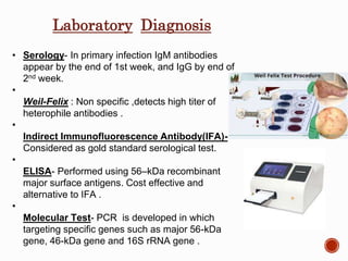 Final blood stream infection, department of microbiology | PPTX