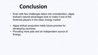 Algal Biofuel Production.pptx