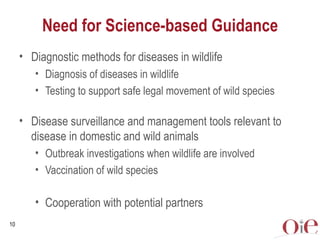 Global animal health challenges: The health pillar