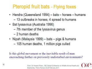 Global animal health challenges: The health pillar