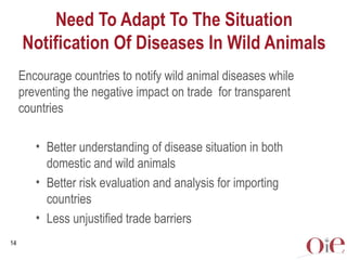 Global animal health challenges: The health pillar